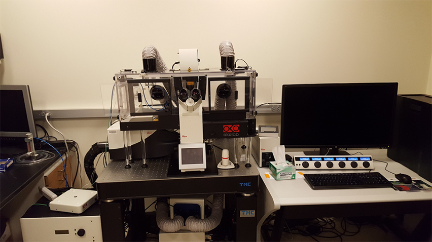 Leica SP8 spectral Confocal Microscope