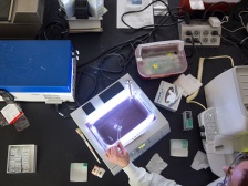 overhead view of a tissue sample being processed at a lab bench